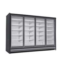 High Quality Aluminum Alloy Frame Supermarket Refrigerated Glass Goor